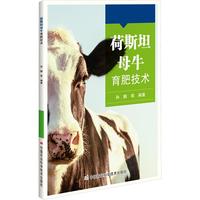 荷斯坦母牛育肥技术