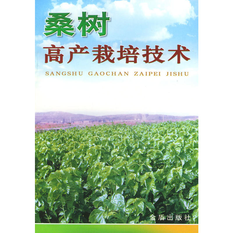 桑树高产栽培技术