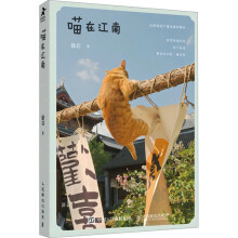 喵在江南