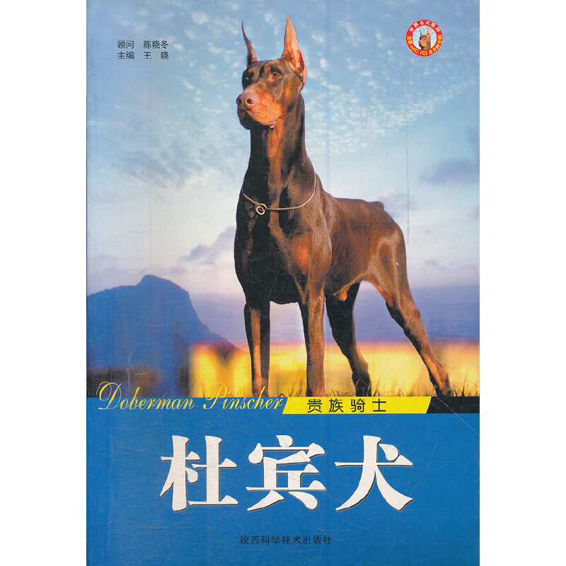 贵族骑士杜宾犬/世界名犬系列