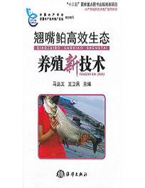 翘嘴鲌高效生态养殖新技术 