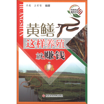 黄鳝这样养殖就赚钱