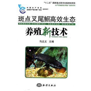 斑点叉尾鮰高效生态养殖新技术