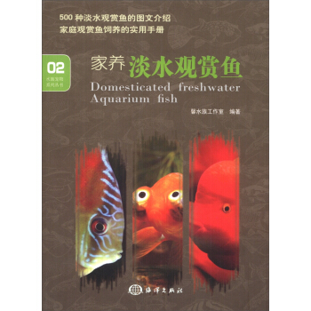 家养淡水观赏鱼