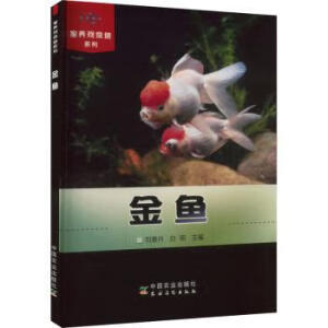 金鱼