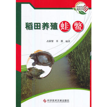  稻田养殖蛙鳖