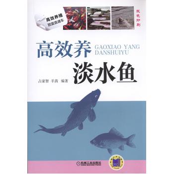 高效养淡水鱼