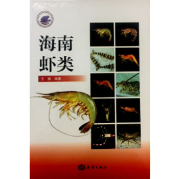  海南虾类