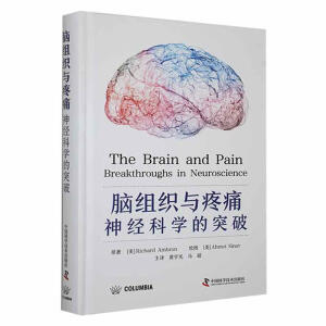 脑组织与疼痛