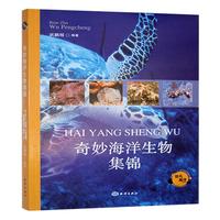 奇妙海洋生物集锦