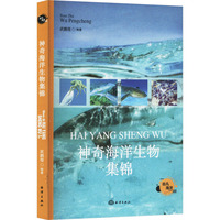 神奇海洋生物集锦