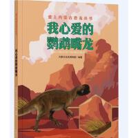 我心爱的鹦鹉嘴龙