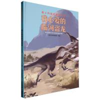 我心爱的临河盗龙