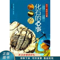 化石的心事
