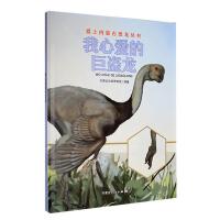 我心爱的巨盗龙