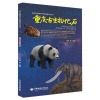 重庆古生物化石