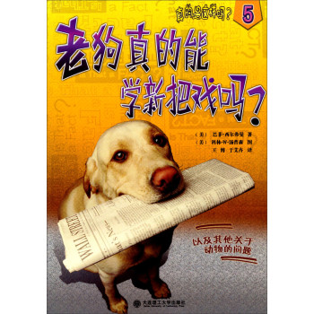 老狗真的能学新把戏吗？ 