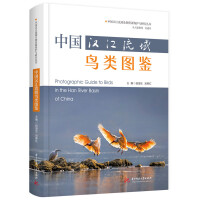 中国汉江流域鸟类图鉴