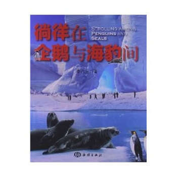 徜徉在企鹅与海豹间