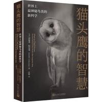 猫头鹰的智慧