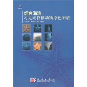 烟台海滨习见无脊椎动物原色图谱