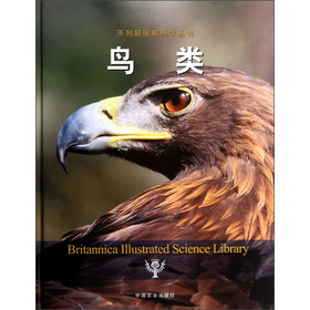 鸟类
