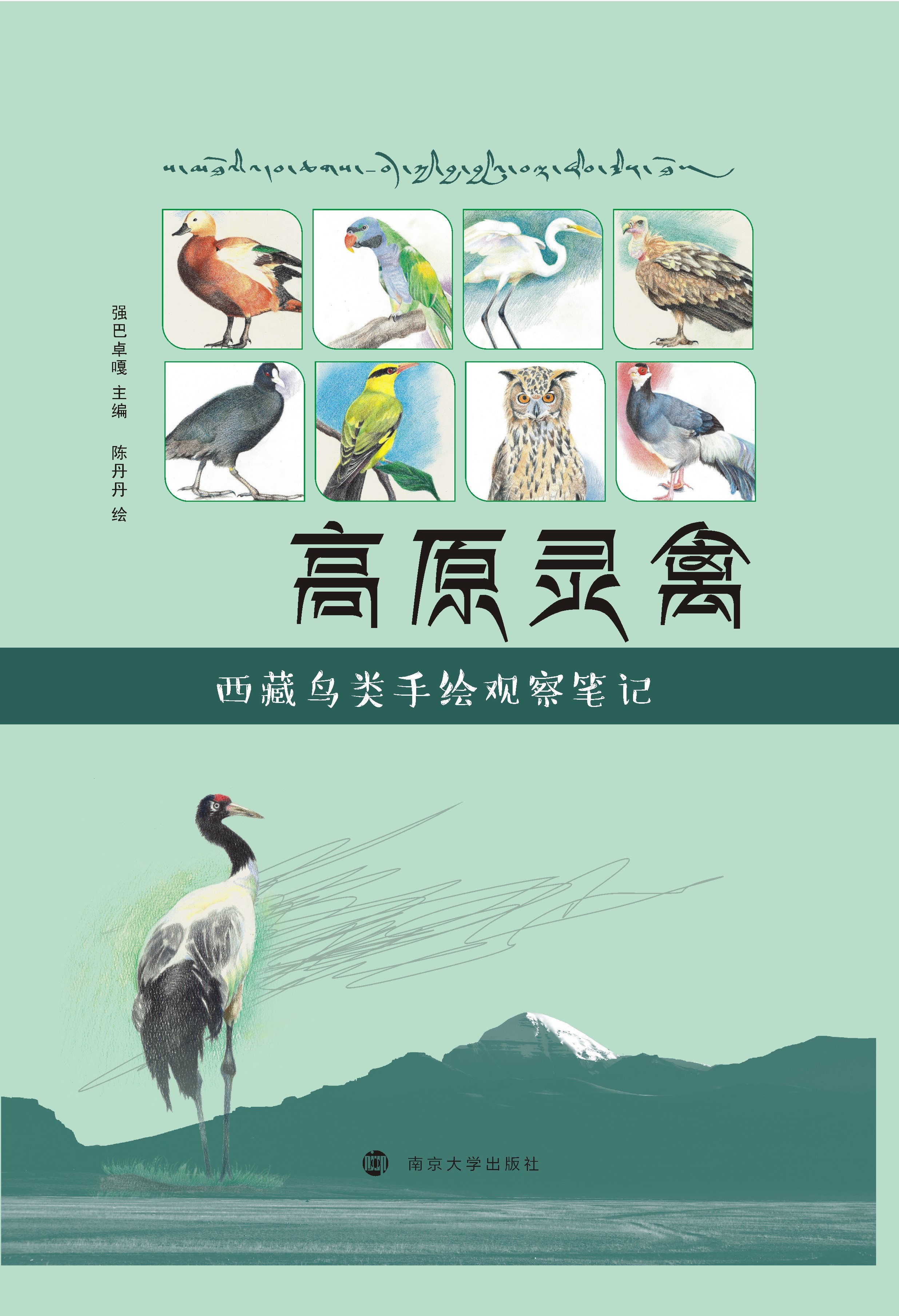 高原灵禽——西藏鸟类手绘观察笔记