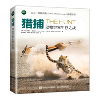猎捕：动物世界生存之战
