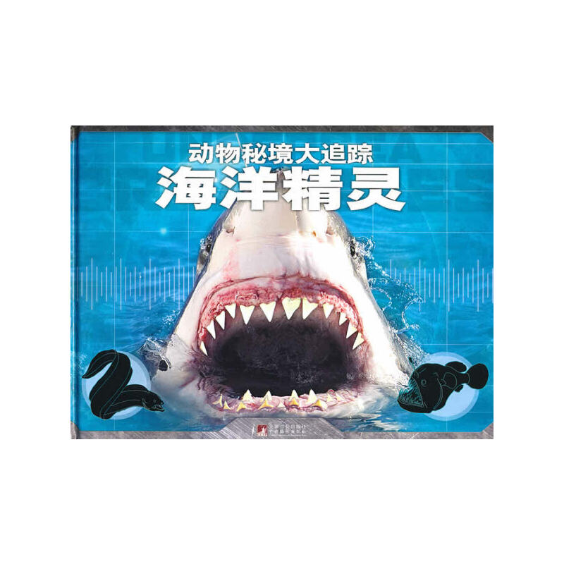 海洋精灵（动物秘境大追踪）