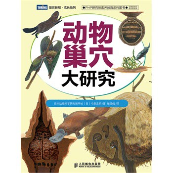 动物巢穴大研究