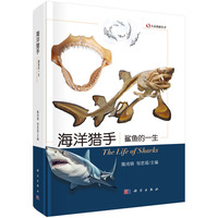 海洋猎手：鲨鱼的一生