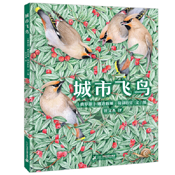  城市飞鸟