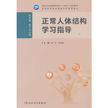  正常人体结构学习指导