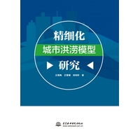 精细化城市洪涝模型研究