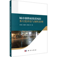 城市强降雨致涝风险多尺度评估与韧性治理