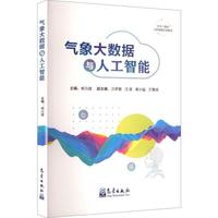 气象大数据与人工智能