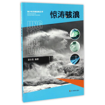 惊涛骇浪/青少年灾难自救丛书