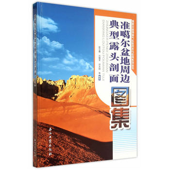 准噶尔盆地周边典型露头剖面图集