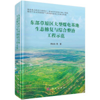 东部草原区大型煤电基地生态修复与综合整治工程示范
