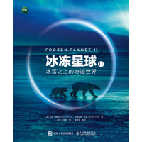  冰冻星球II：冰雪之上的奇迹世界