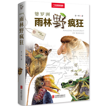 婆罗洲雨林野疯狂