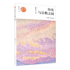 历史与宗教之间（人文书系）