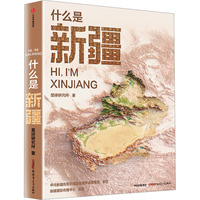  什么是新疆 现货 国庆献礼 星球研究所 著 国民地理书《这里是中国》之看遍中国区域地理系列 新疆篇 新疆地理人文